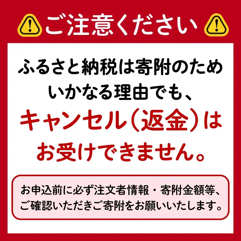 新米 米 5kg 無洗米 彩のきずな 白米 令和8年度産 無洗米