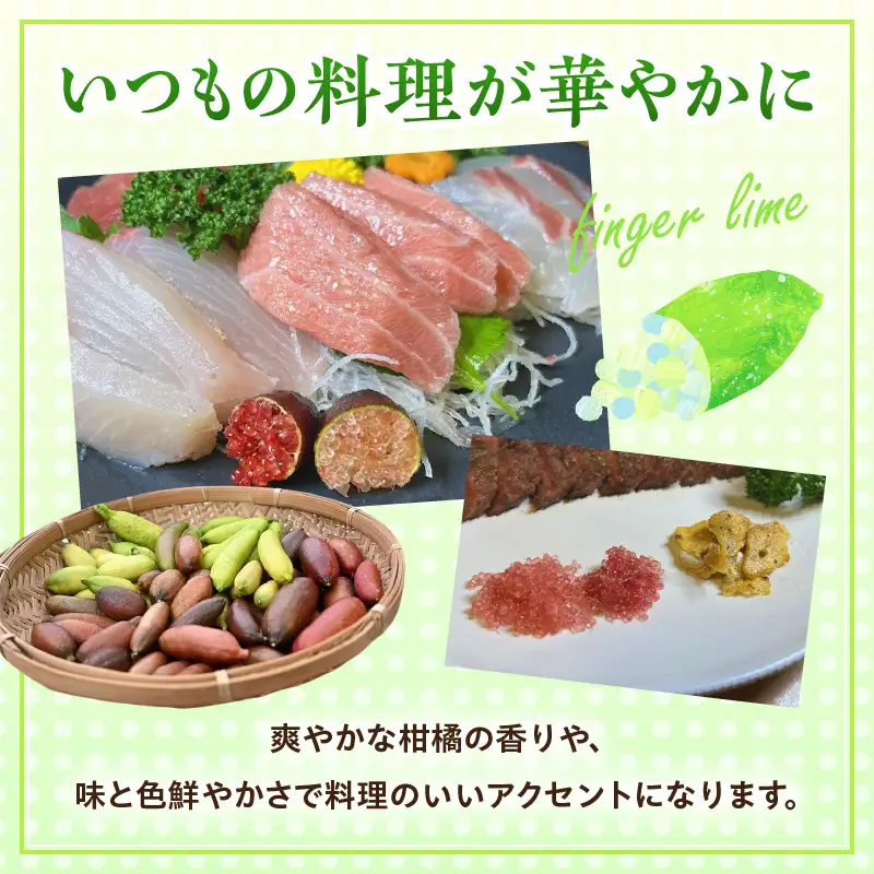 新感覚つぶつぶ食感！フィンガーライム　200ｇ（約10～18本）｜フルーツ