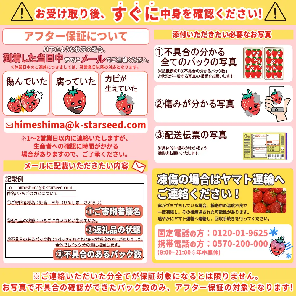 ベリーツ 約200g×4P【2月出荷】 2A3