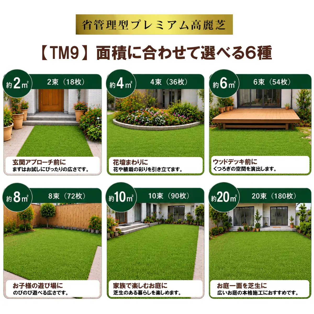 【先行予約】8㎡分 省管理型プレミアム高麗芝 「TM9（芝生）」コウライシバ ティーエムナイン 【2027年3月下旬頃から出荷予定】