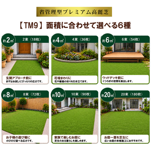 先行予約】10㎡分 省管理型プレミアム高麗芝 「TM9（芝生