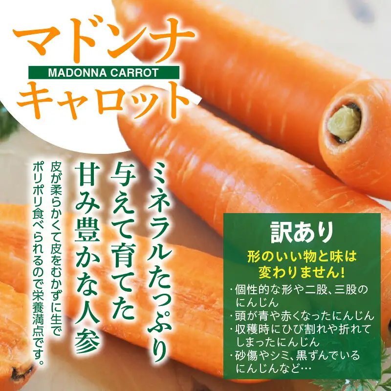【福箱★2027】全2回お試し定期便　マドンナキャロット訳あり3キロと新玉ねぎ「旬玉」訳あり3キロ H105-278