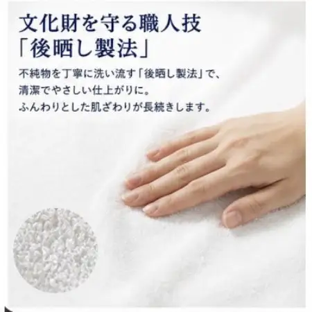 【泉州タオル】白フェイスタオル 綿100% 吸水 速乾 10枚セット【1749085】