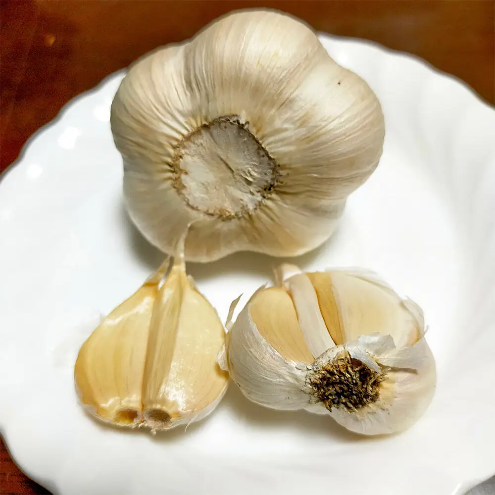 乾燥にんにく 約500g（15玉前後） 青森県十和田市産