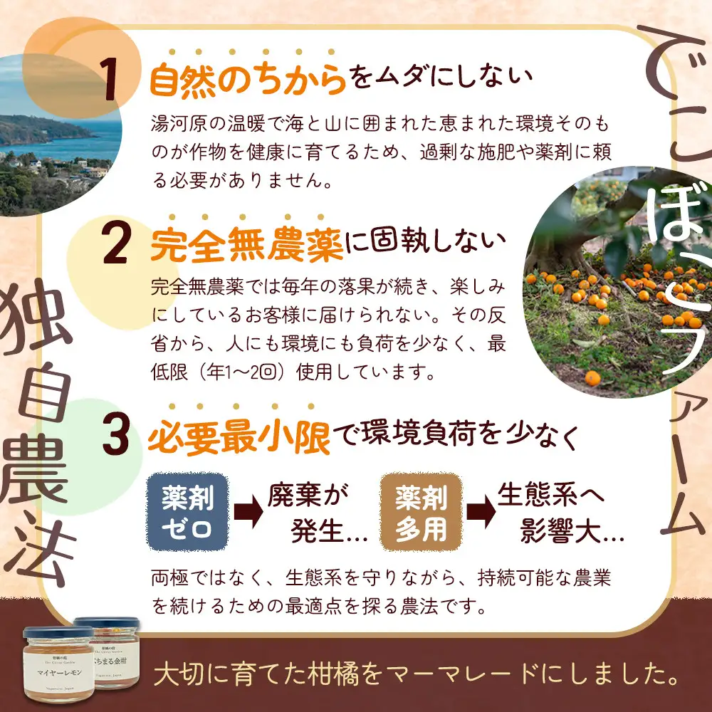 柑橘の庭 マーマレード 2種セット
