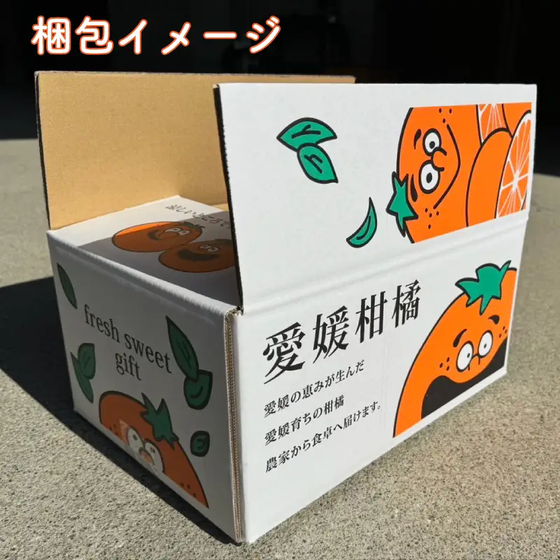 【愛媛県産】 甘平 約5kg 訳あり 甘平 みかん 【TKG0013】