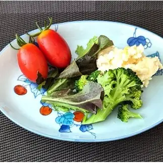 有田焼 華山窯 染錦トマト 楕円トレー 皿 2枚セット【東洋セラミックス】 食器 器 うつわ プレート お皿 楕円皿 青 黄 緑 赤トマト とまと 可愛い au039
