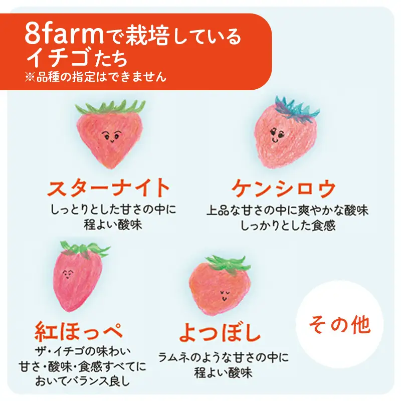 【先行予約】イチゴ2品種 4パックセット【 約290g×4パック 約1160g 食べ比べ いちご 苺 ストロベリー 冷蔵 安来市産】【16-FA-05】