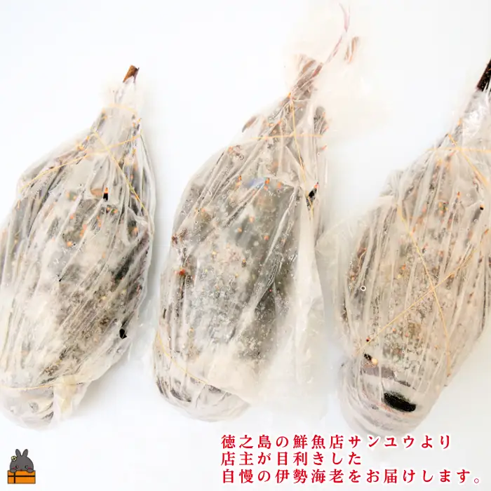 《年末お届けお約束》新鮮なまますぐ冷凍!!徳之島産冷凍伊勢海老2kg（3尾～5尾） （ 伊勢えび イセエビ 伊勢えび 伊勢エビ えび エビ 海老 海産物 サンユウ ）