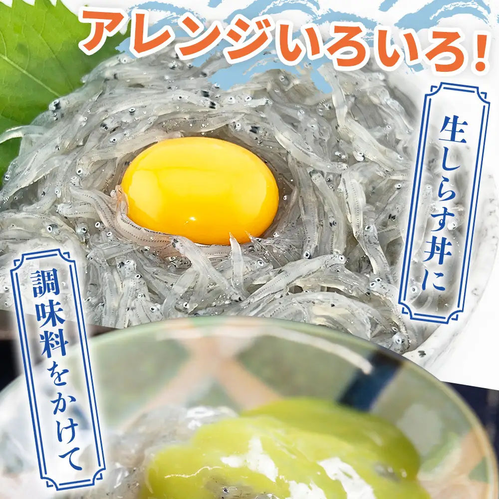 生しらす お刺身 10パック 計700ｇ 生しらす fa-0008