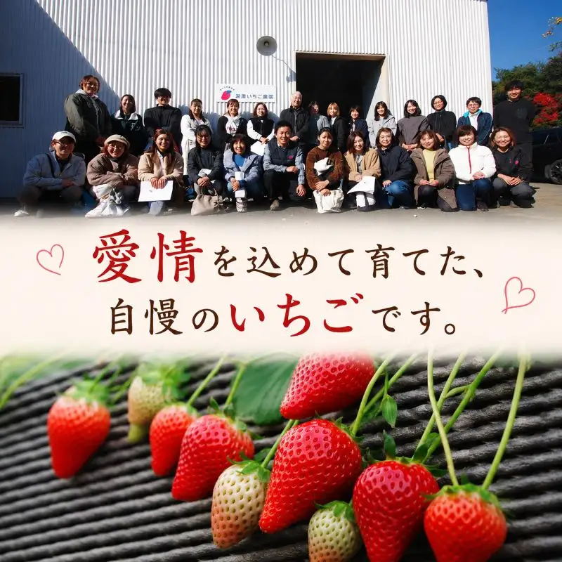 澳原さんの いちご2種類食べ比べ 560g（とちあいか280g・とちおとめ280g）栃木県共通返礼品 矢板市産 栃木県下野市