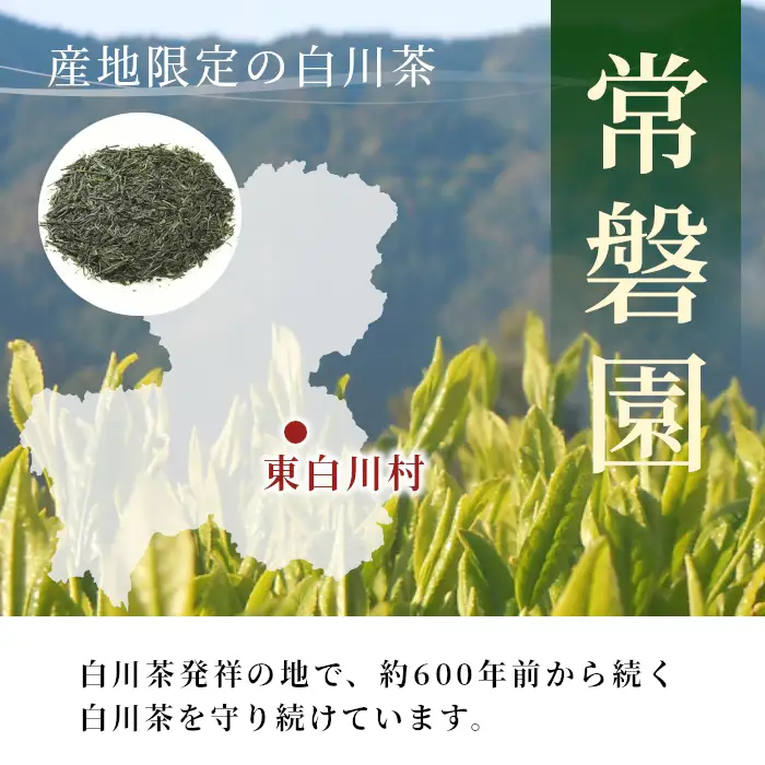 農薬不使用！煎茶 わかくさ 3kg 常磐園 白川茶 美濃白川茶 日本茶 緑茶 煎茶 茶葉 お茶 二番茶 春摘み リーフ 国産 大容量 岐阜県 東白川村 家庭用 事務所用