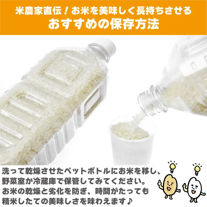 【 お米 】 定期便 6回 米 ヒノヒカリ 5kg 令和8年産