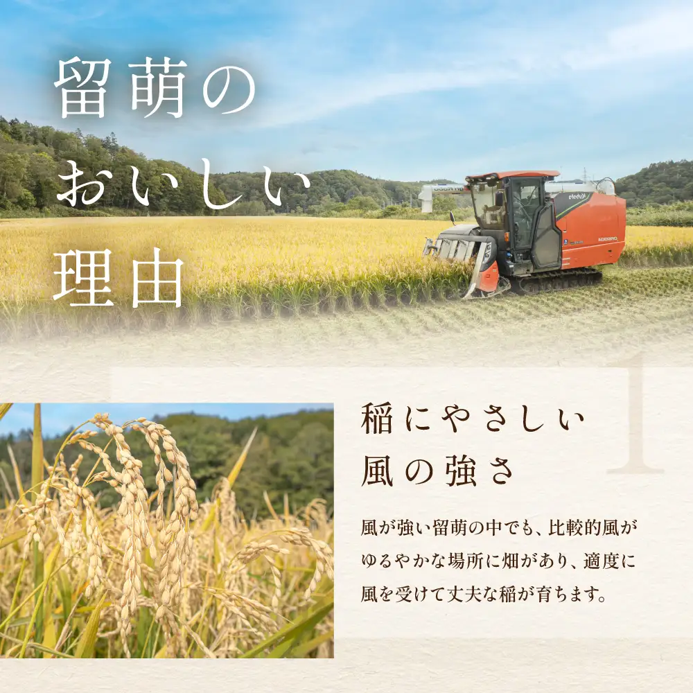 【先行予約】令和8年産【6ヵ月定期便】ななつぼし 5kg 無洗米 北海道 留萌産