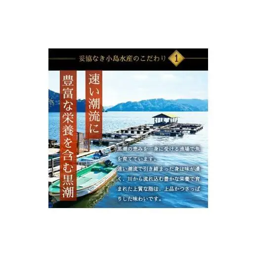乙女ブリ 1本 4~5kg 三枚におろす（皮つき、アラ入り） 丸ごと一本 ブランド鰤 極みブリ 冷蔵 ブリ しゃぶ 高知県 須崎市 高知 鰤 年末 正月 KS036