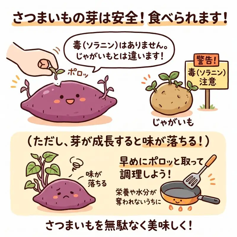 訳あり さつまいも 2kg [2月-7月発送]