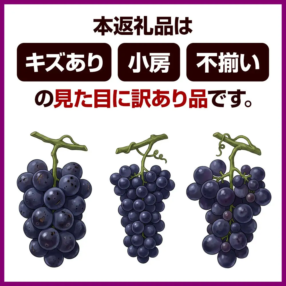 沼田市産 ぶどう ブラックビート 2房（1kg前後）ご家庭用 まるいぶどう園