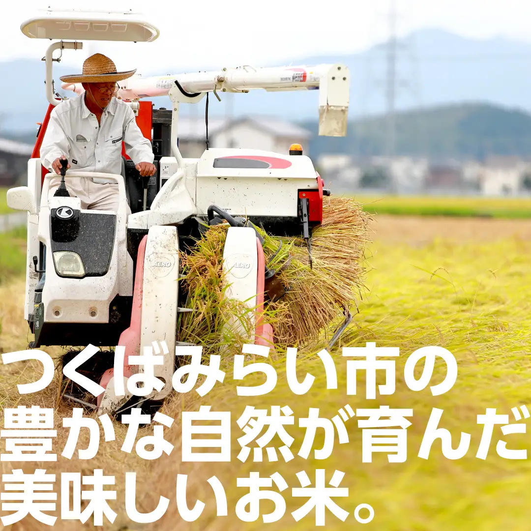 ★ 新米 先行予約 ★ 令和8年産 コシヒカリ 玄米 30kg  茨城県つくばみらい市産 米 こしひかり お米