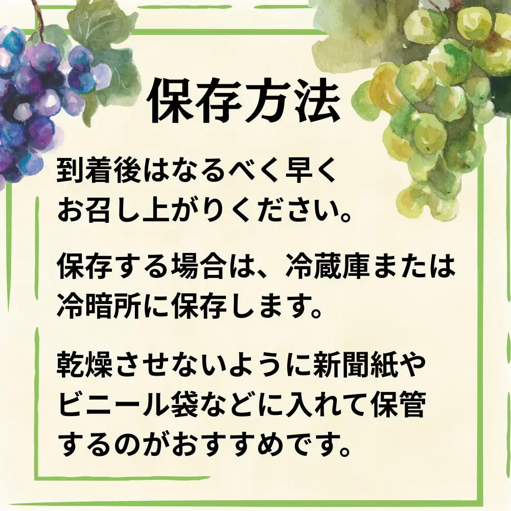 訳あり ぶどう シャインマスカット ピオーネ セット 詰め合わせ 食べ比べ 約 1kg 山形県 農家直送 2026 年発送 種なし 種無し ブドウ 葡萄 グレープ 果物 フルーツ 詰合せ 産地直送 家庭用 ご家庭用 自宅用 不揃い 規格外 秋 朝日町産 山形産 期間限定 送料無料