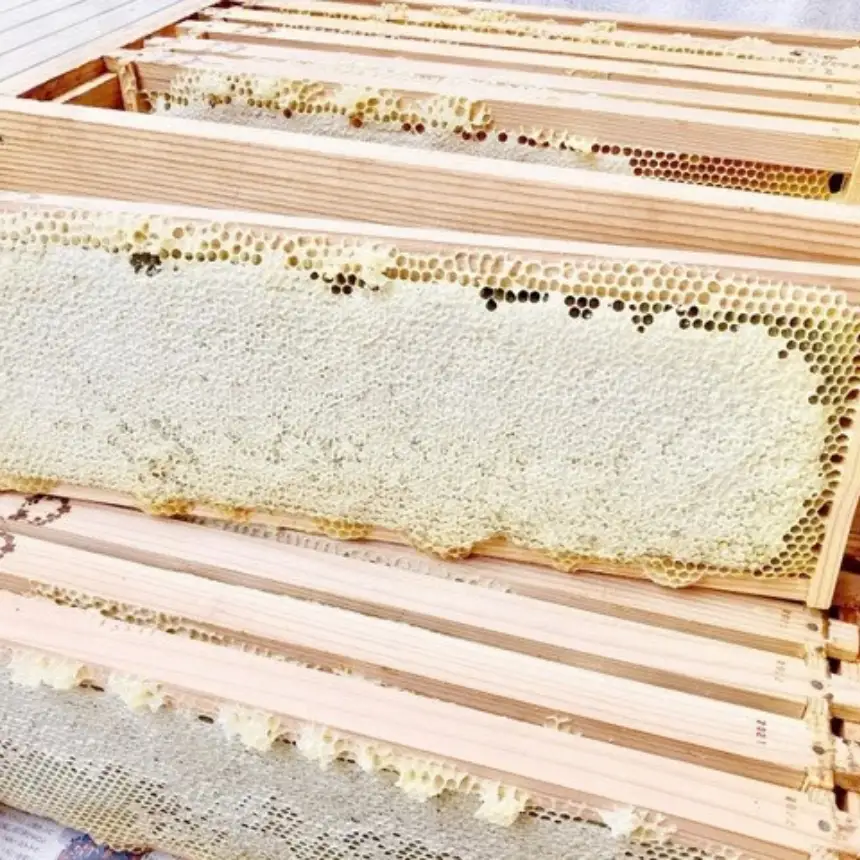 八ヶ岳産 百花蜜「森のしずく」 季節のはちみつ食べ比べ 3種ギフトセット（100ｇ×3） | はちのわ