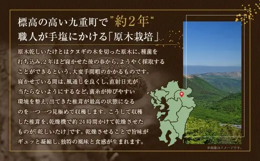 大分産椎茸こうしん 約50g × 1袋 シイタケ しいたけ 椎茸 干し椎茸 原木しいたけ 乾物 小分け 小分け包装 和食 中華 国産 大分県産