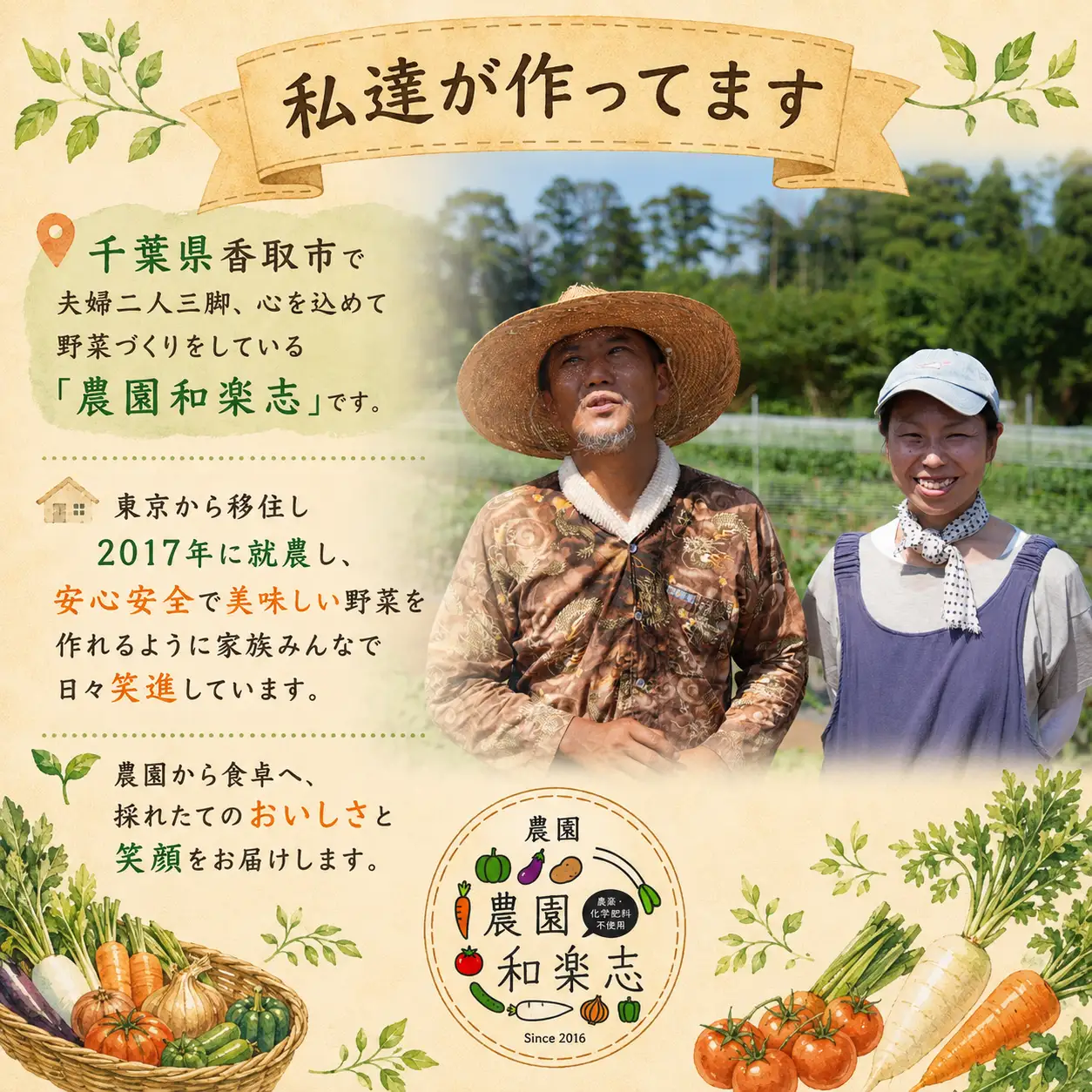 【千葉県香取市】旬の「季節の野菜セット」【詰め合わせ】【WGS002】