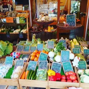 A132 朝採り野菜とフルーツの定期便（12回）