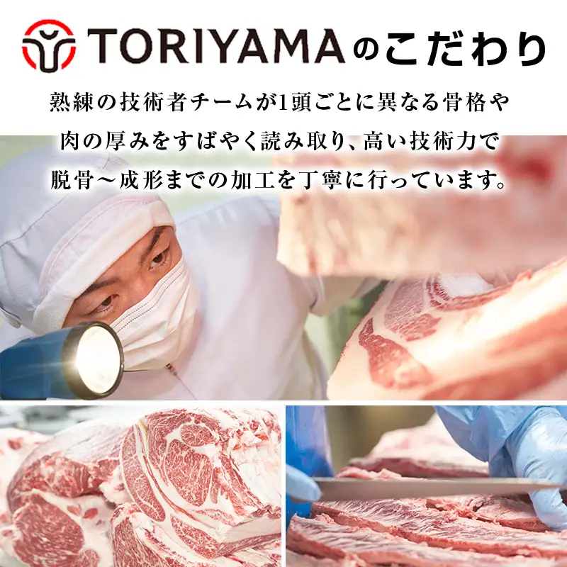 【定期便・全3回】赤城牛ビーフカレー中辛 計30個セット（10個×3回） カレー レトルト 牛肉 銘柄牛 赤城牛 長期保存  F4H-0849