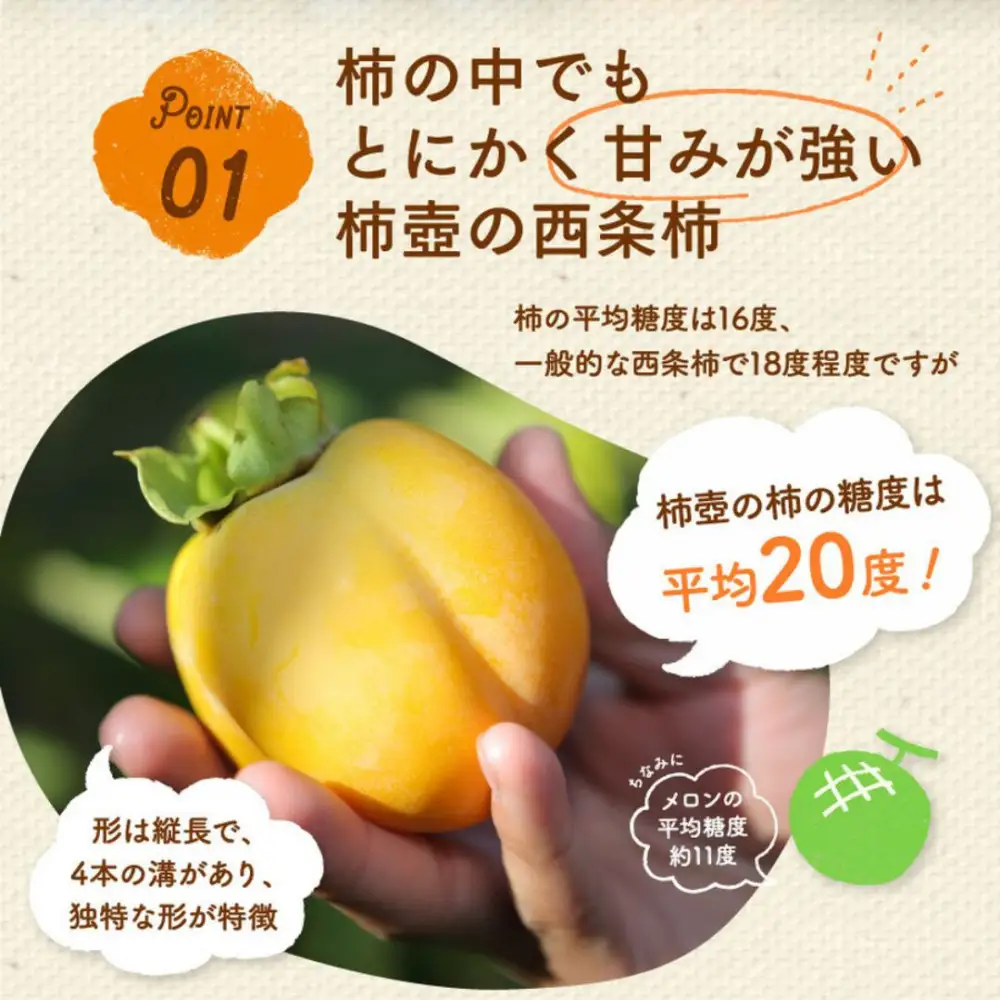 【柿専業の農家が作る】謹撰大玉西条柿の干し柿 440g【11月下旬以降お届け】