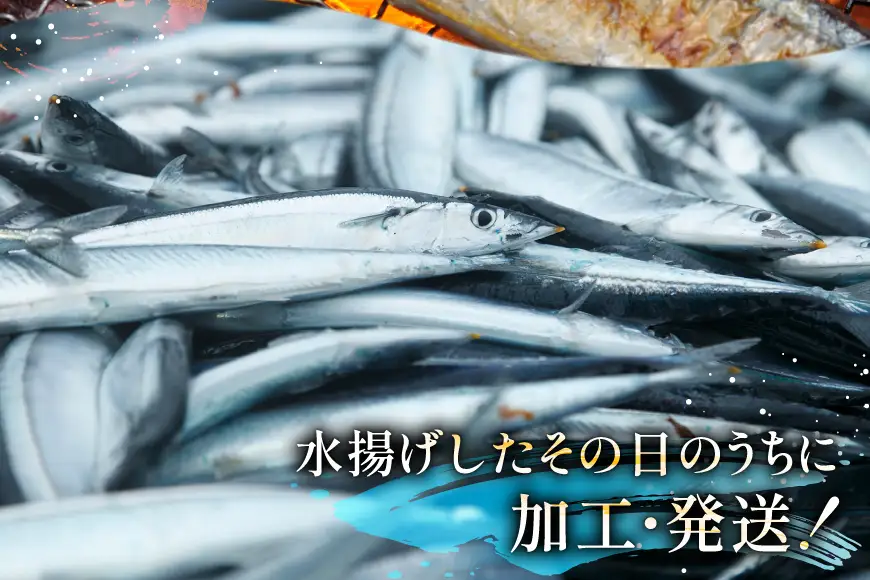 【期間限定発送】生 さんま 8尾 大サイズ