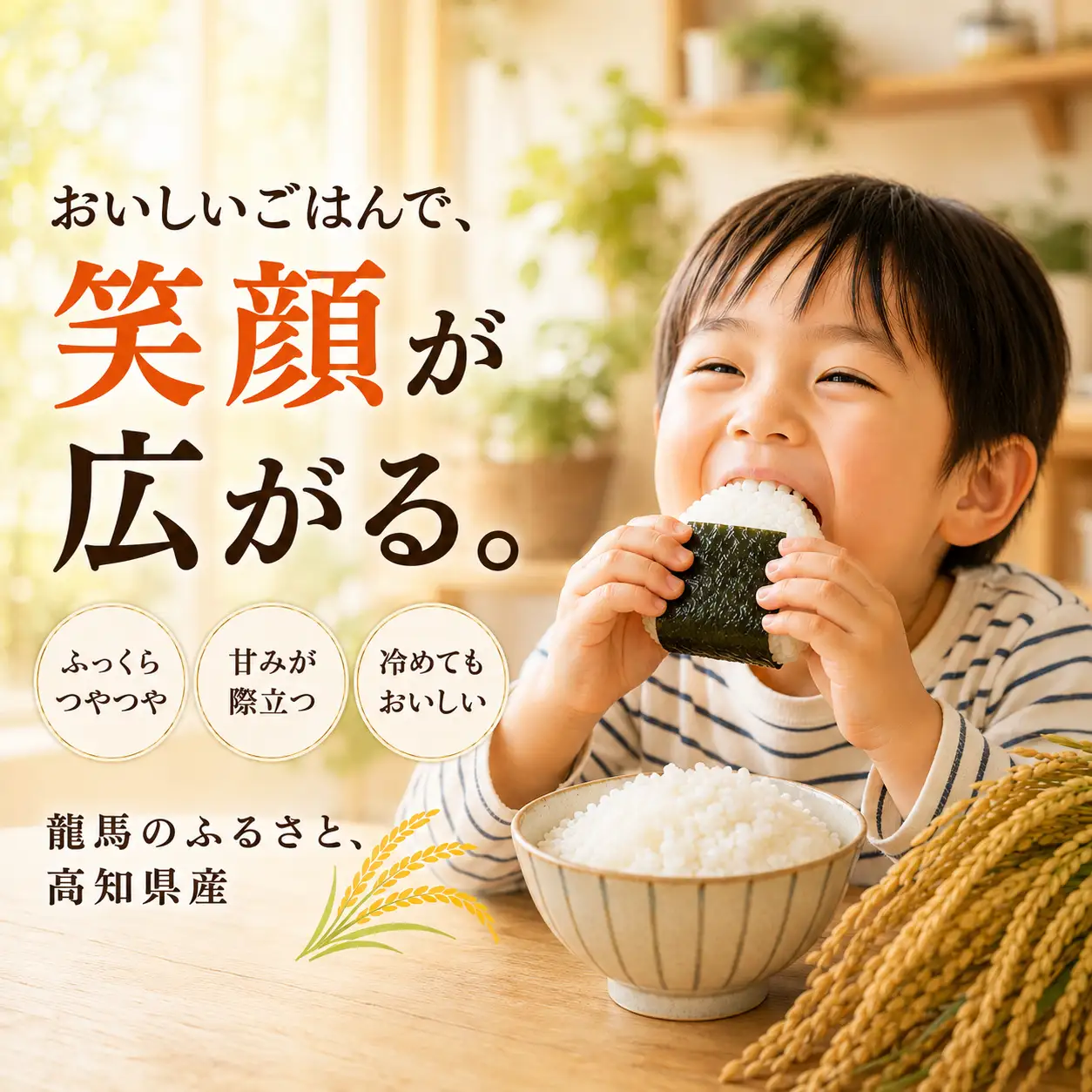ブレンド米 複数年度 高知のお米 5kg 高知県産 高知県 室戸市