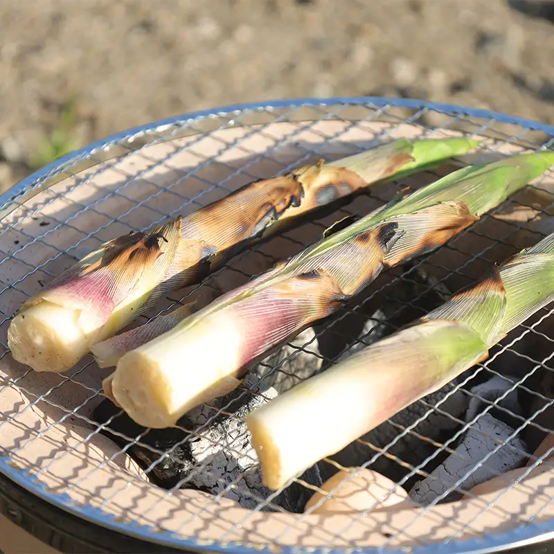FYN6-572 ≪2027年先行予約≫山形県産 天然 月山筍 1kg(15~20本) 2027年5月下旬から順次発送 山菜 さんさい 筍 たけのこ 細筍 野菜 贈答 贈り物 ギフト プレゼント 自宅 家庭 期間限定 数量限定 山形県 西川町 月山