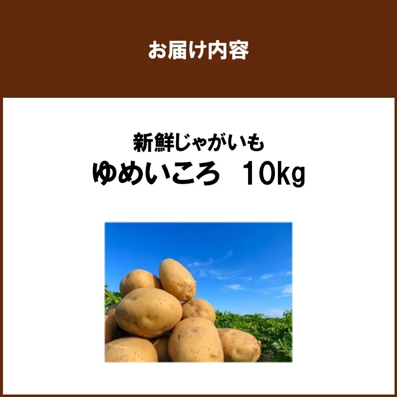 JAきたみらいから直送する新鮮じゃがいも「ゆめいころ」10kg (JAきたみらい JA 直送 じゃがいも いも 芋 ジャガイモ)【104-0019】