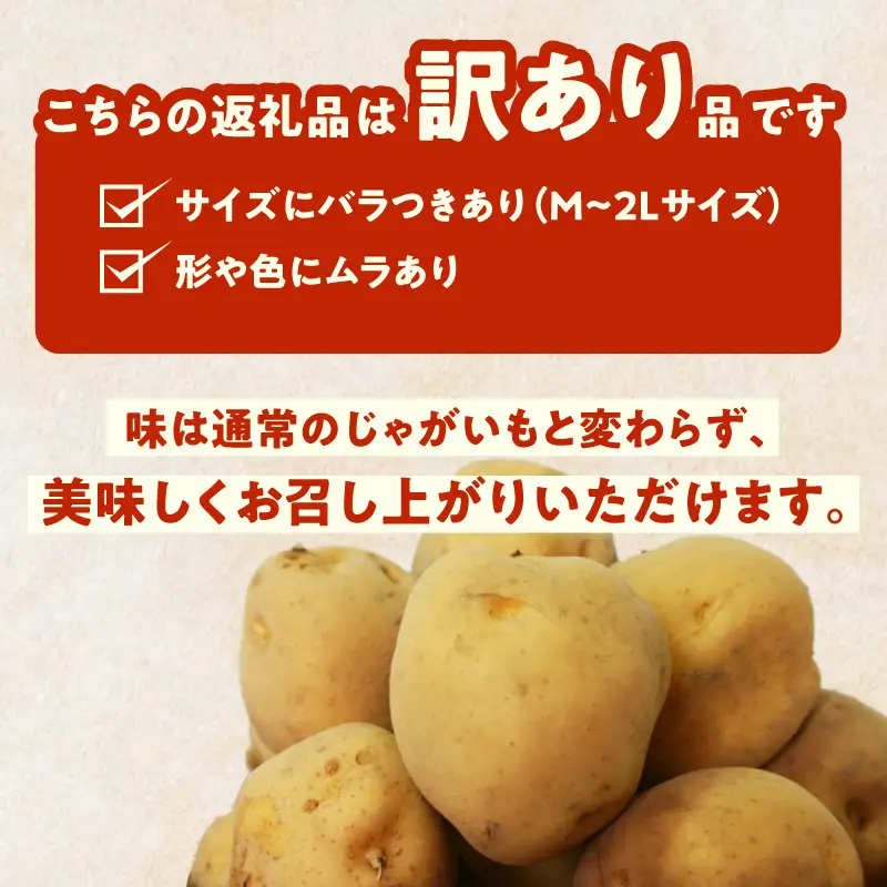 じゃがいも 福袋 2種類 20kg きたあかり 男爵いも メークイン とうや キタカムイ 北海道産 函館市 送料無料_HD206-003