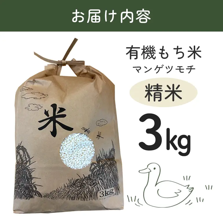 有機もち米（マンゲツモチ）精米　3kg お米 米 白米 もち米 ご飯 ごはん 国産米 産地直送 茨城県 石岡市 B03-014
