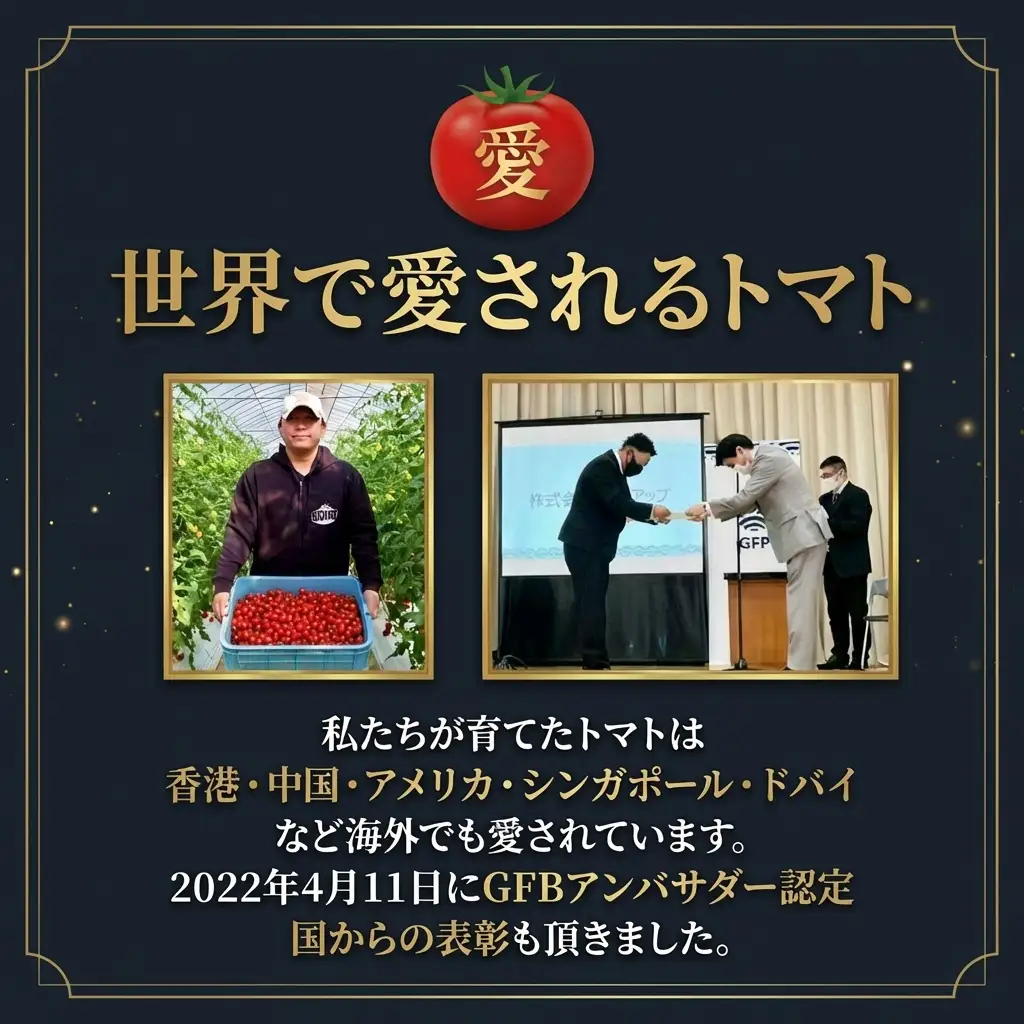 ミニトマト（プラチナ） 400g｜レッドアップ ※メール便でお届け