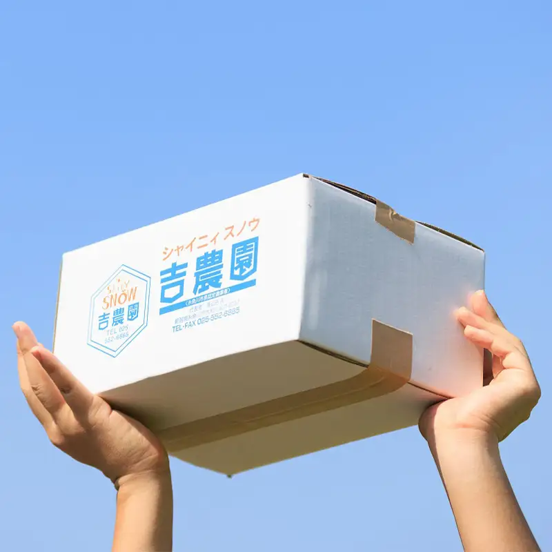 【7日以内スピード発送】令和7年産新米 新潟県産『コシヒカリ』5kg プロも太鼓判！熟練農家のうまい米 2025年産 農家直送 吉農園【新潟県 糸魚川市 米 お米 こめ コメ ご飯 ライス ふるさと納税米 ブランド米 おすすめ ギフト 5キロ 精米 白米 人気 食品】
