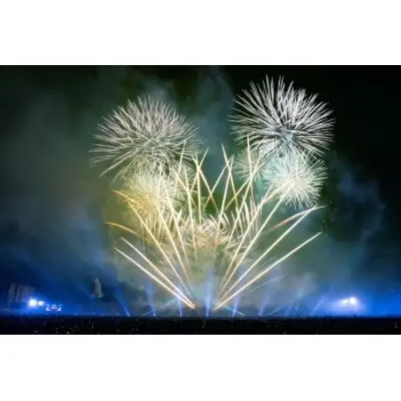 第5回万博夜空がアートになる日 花火鑑賞チケット パノラマシート大人ペア(大阪北摂エリア共通返礼品)【1772995】