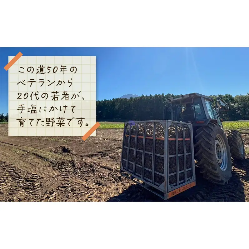 北海道 倶知安 じゃがいも とうや 5kg リストファーム サイズ 混合 馬鈴薯 芋 ポテト イモ 産地直送 野菜
