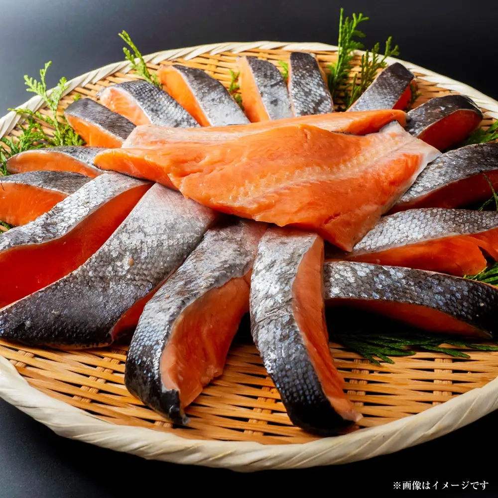【 14営業日以内に発送 】 紅鮭 × 銀鮭 お試し食べ比べセット 3切 各1パック 計6切 鮭 さけ サケ シャケ 魚介 魚介類 魚 魚類 海鮮 切身 厚切り 天然 甘塩仕立て 甘塩 BIGサイズ 真空パック おかず 晩酌 冷凍 詰め合わせ