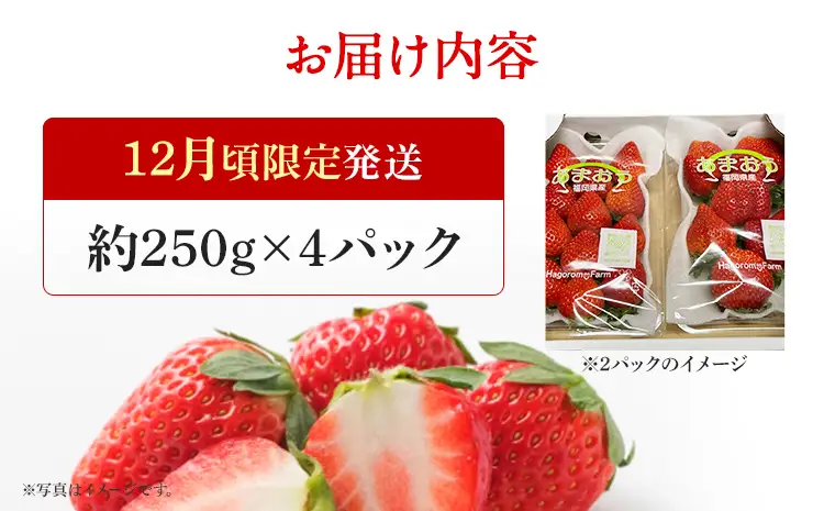 いちご   産地直送　福岡県産あまおういちご　エコ農産品 (約250g×4パック)  【12月頃限定発送予定】 ※北海道・沖縄・離島は配送不可  いちご