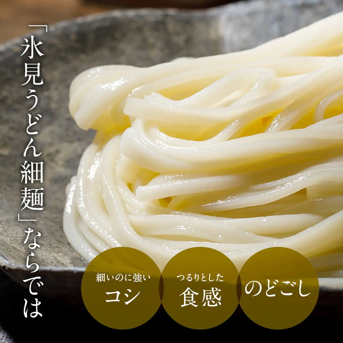 【 3回 隔月 定期便 】 海津屋 氷見うどん 細麺 5本 ＋ つゆ 5袋 × 2 （ 自家用 ） 簡易箱 手延べ うどん 国内製造 麺類 富山県 氷見市