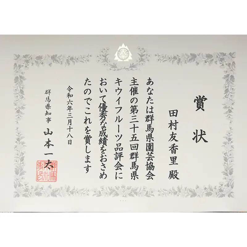 ＜先行予約＞【3年連続受賞】「A品数量限定」下仁田町産キウイフルーツ約2.0kg（1玉Lサイズ115g以上） キウイ フルーツ キウイ デザート 果物 贈答品としても人気！ F21K-729