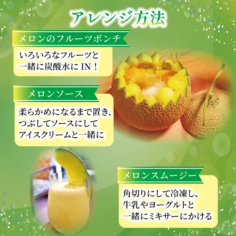 メロン 訳あり 2027年 先行予約 赤肉 約 11kg 6～12玉 タカミメロン