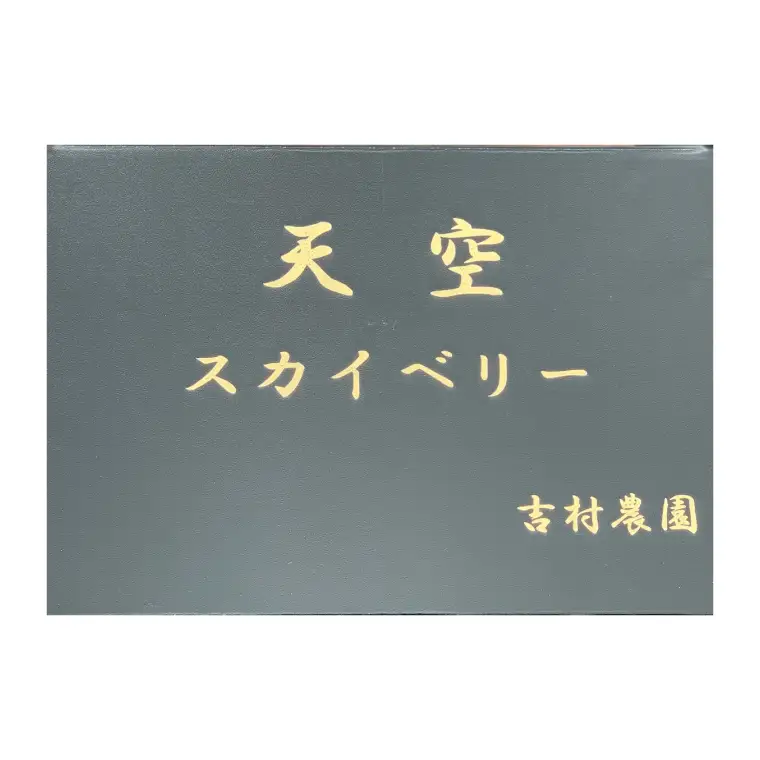 【数量限定】大粒プレミアムいちご スカイベリー 12粒 (約400g)  (DS004)