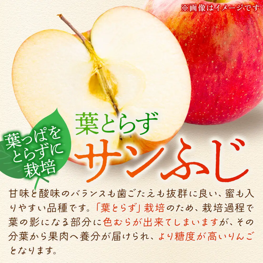 【26年12月発送】りんご 葉とらずサンふじ【特選】約10kg 26～40玉程度【糖度13度以上】津軽農園 先行受付 青森県 弘前市 果物 フルーツ 林檎 リンゴ くだもの ギフト 贈り物