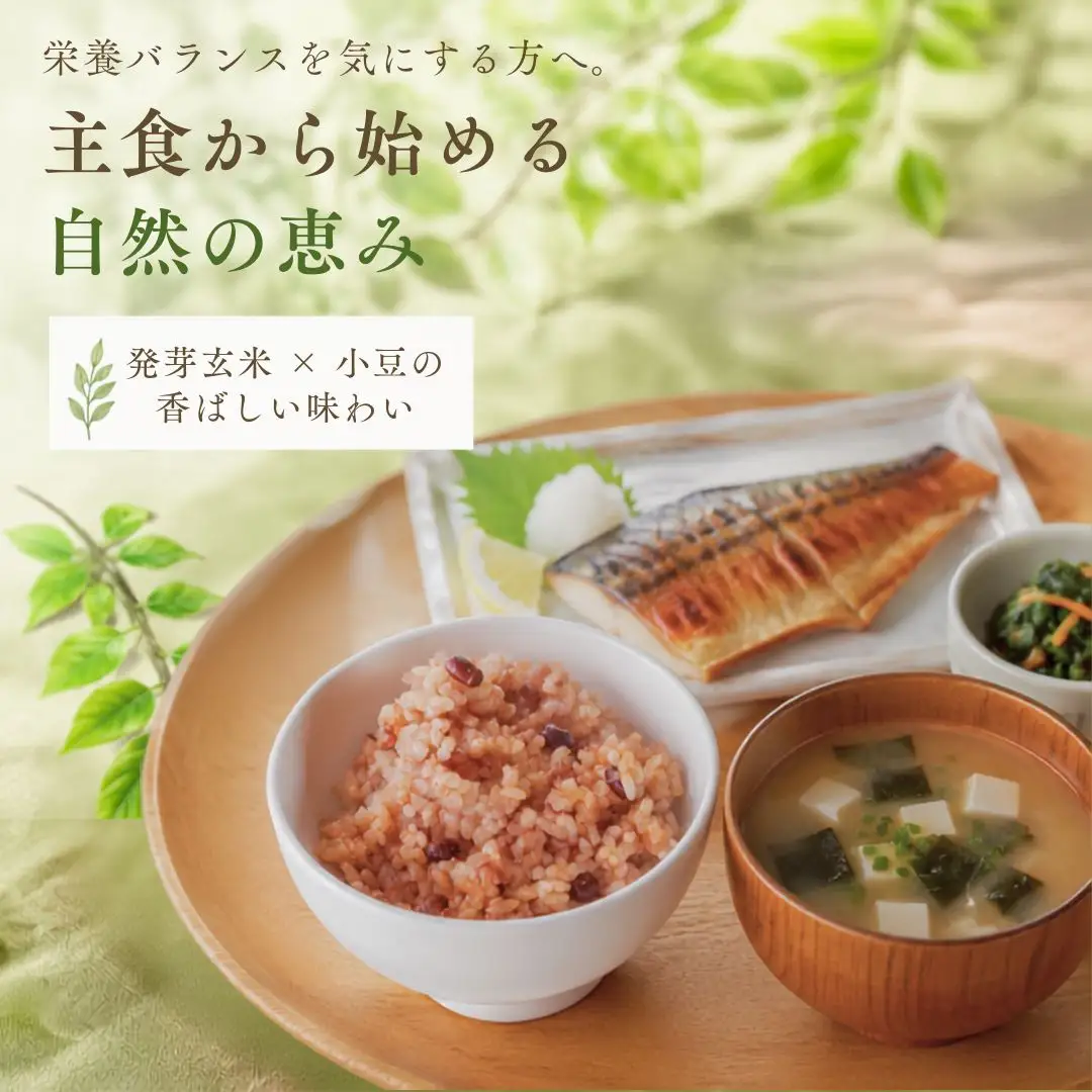 パックご飯 熟成3日 発芽玄米 簡易包装 125g × 10個 コシヒカリ 酵素玄米 | 寝かせ玄米 特別栽培米 パックご飯 新潟県