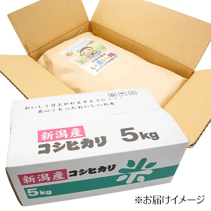 令和8年産新米【先行予約】 新潟県産コシヒカリ いまいっ娘 5kg 【白米 新潟県 糸魚川市産 安心 安全 美味しいお米 新潟米 今井産 米 精米 こしひかり おにぎり お弁当 におすすめ お米 おこめ コメ 2026】