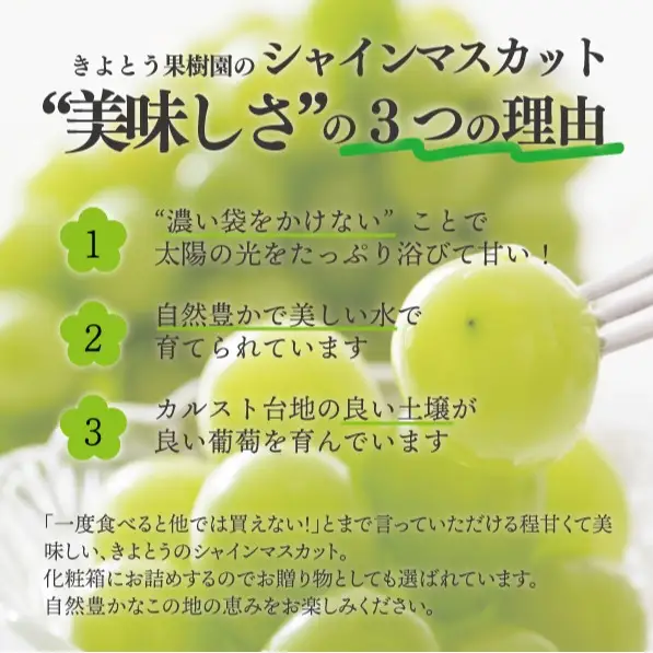 シャインマスカット 上級品 大3-5房/計2.4kg～(岡山県産) 食べ応え満点のシャインをお届け! FN-B005