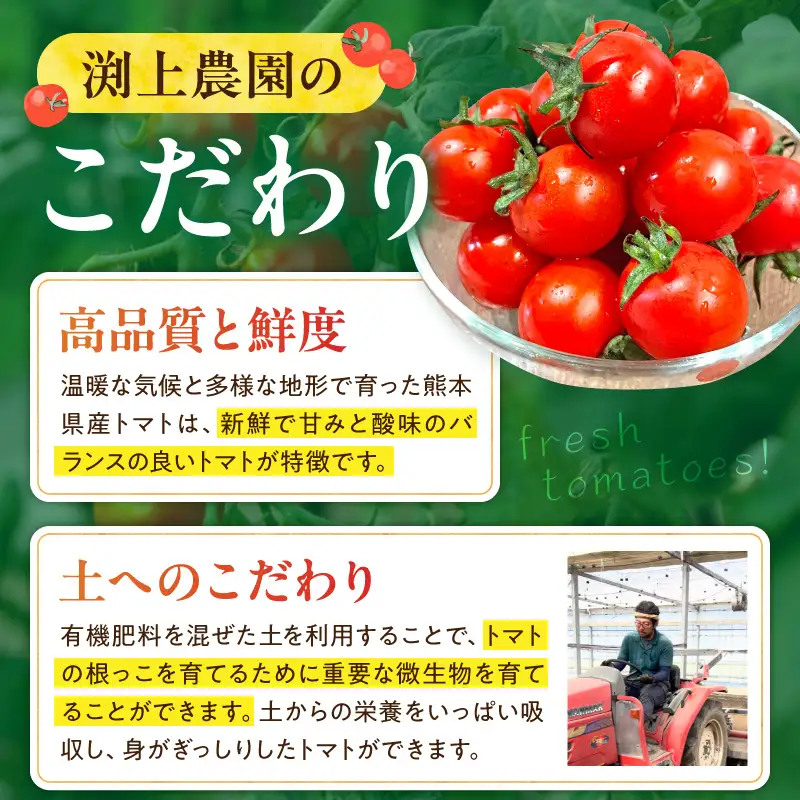 渕上農園　【常温】ミニトマト3kg_U150-0002